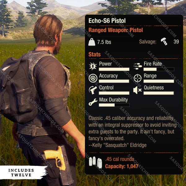 state of decay 2 echo-s6 pistol