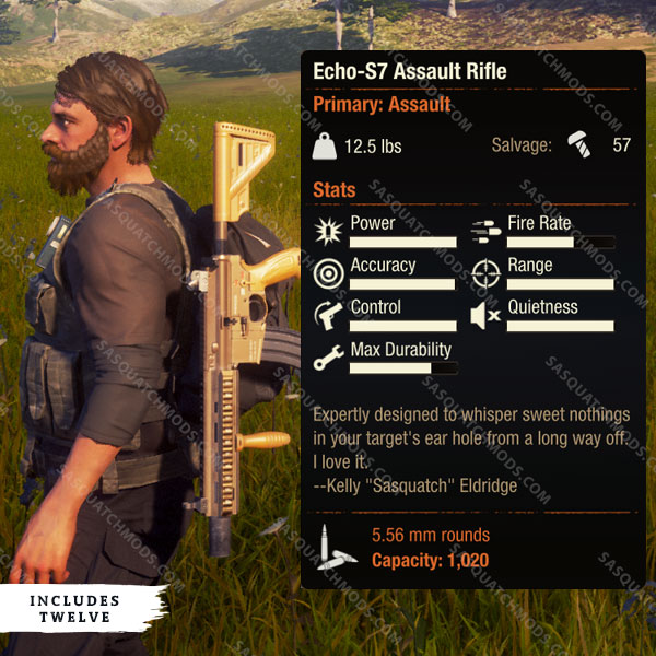 state of decay 2 echo-s7 assault rifle