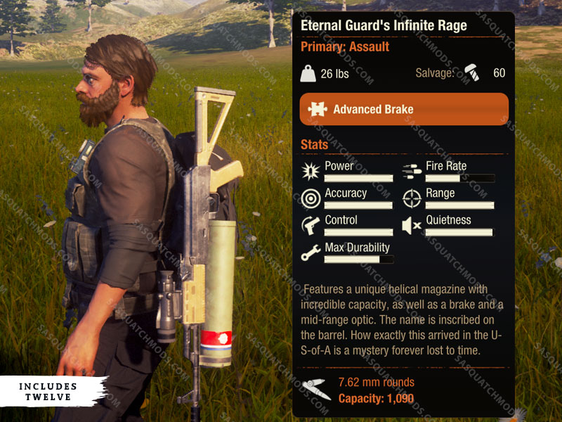 state of decay 2 eternal guards infinite rage