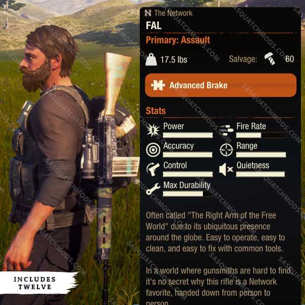 state of decay 2 fal