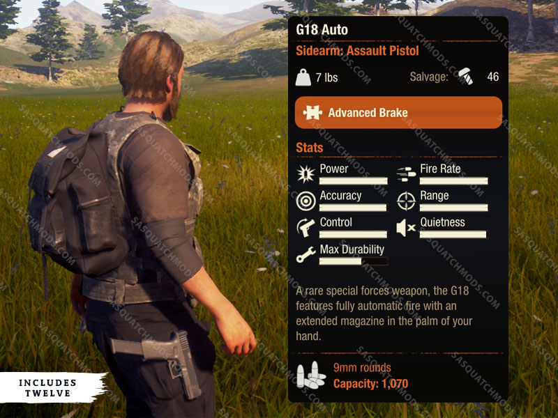 state of decay 2 G18 Auto