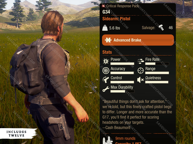 state of decay 2 G34