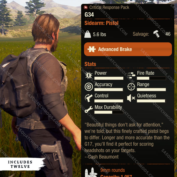 state of decay 2 g34