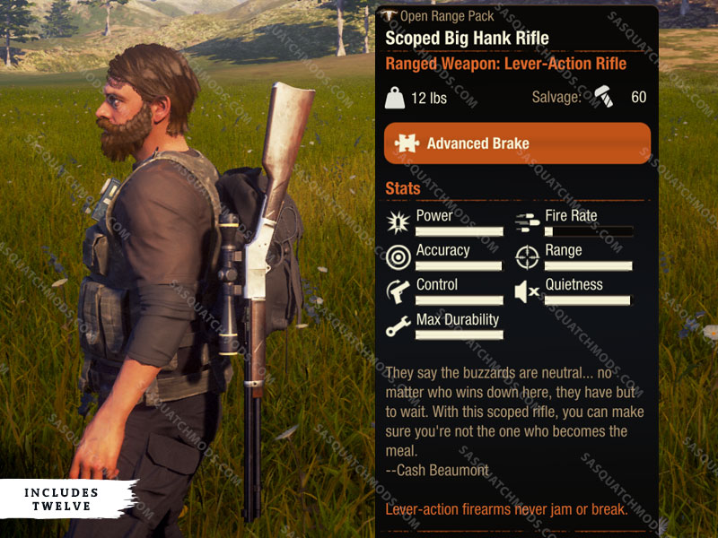 state of decay 2 scoped big hank rifle