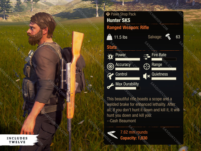 state of decay 2 hunter sks