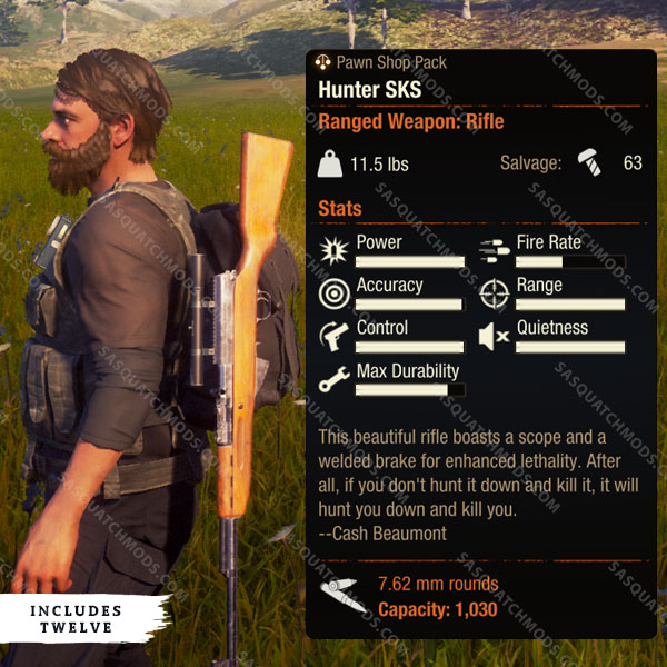 state of decay 2 hunter sks