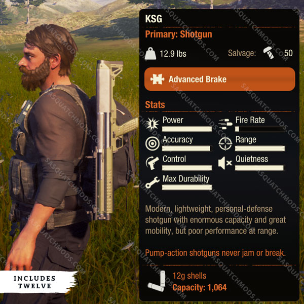 state of decay 2 ksg