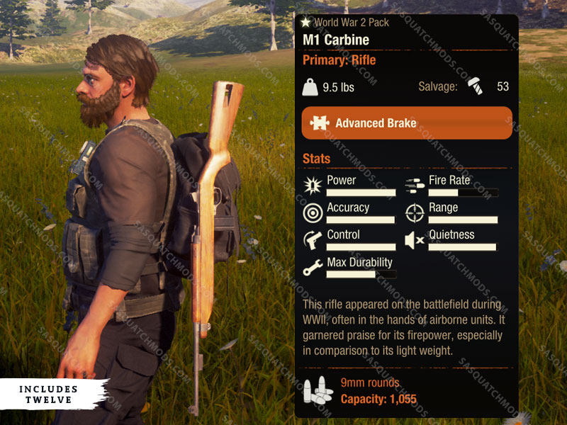 state of decay 2 m1 carbine