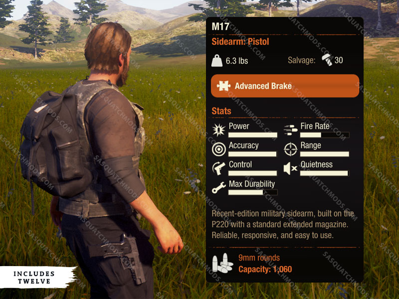 state of decay 2 M17