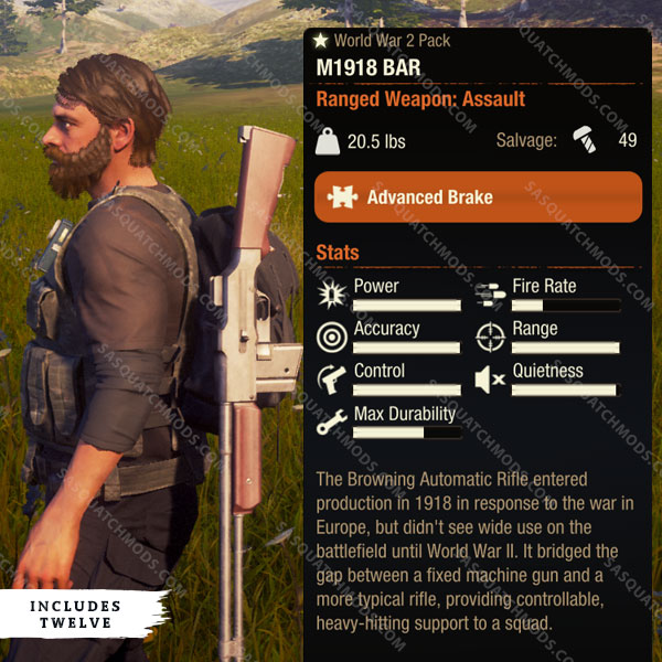 state of decay 2 m1918 bar