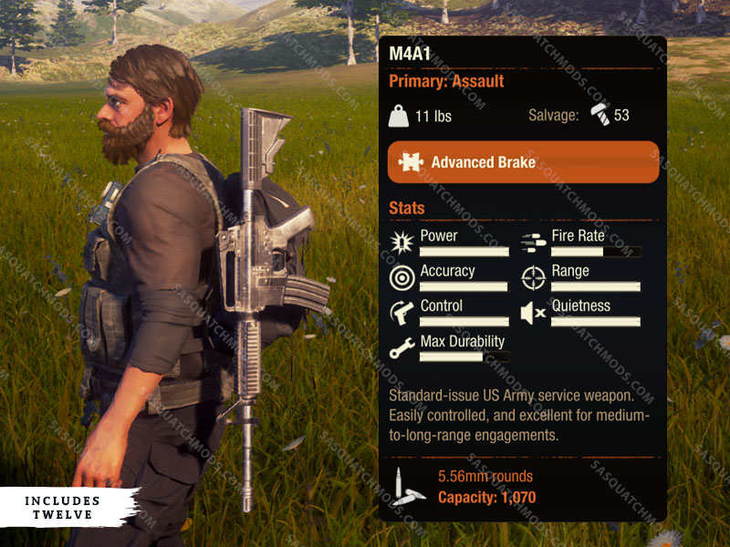 state of decay 2 M4A1