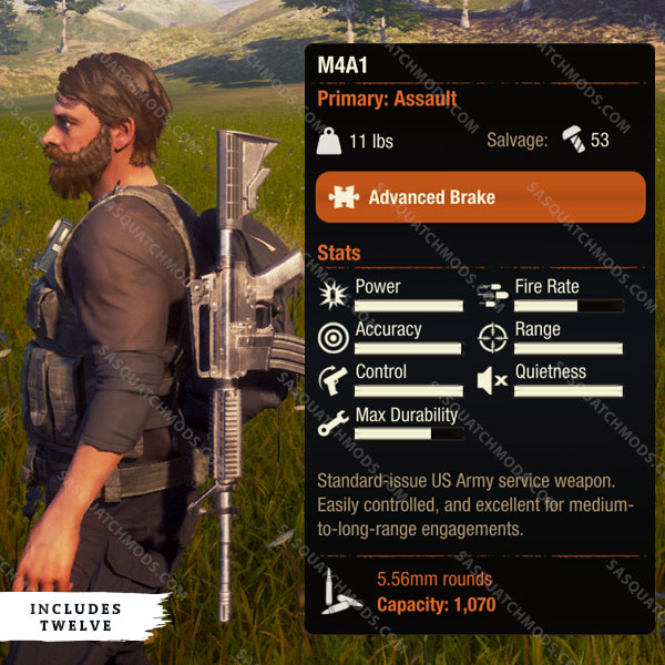 state of decay 2 m4a1