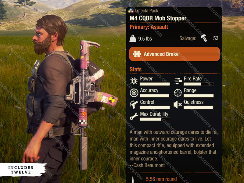 state of decay 2 m4 cqbr mob stopper