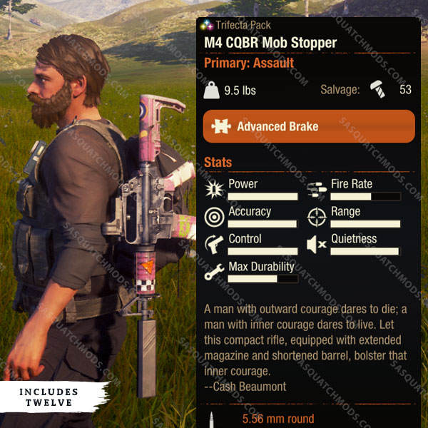 state of decay 2 M4 CQBR Mob Stopper