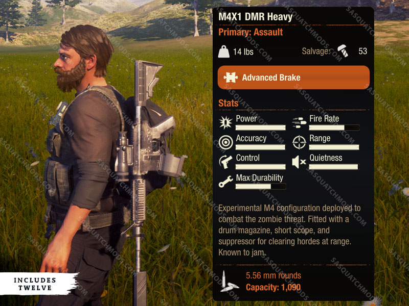 state of decay 2 m4x1 dmr heavy