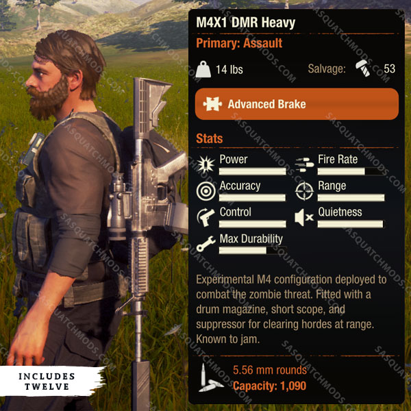 state of decay 2 m4x1 dmr heavy