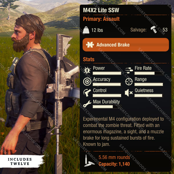 state of decay 2 m4x2 lite ssw