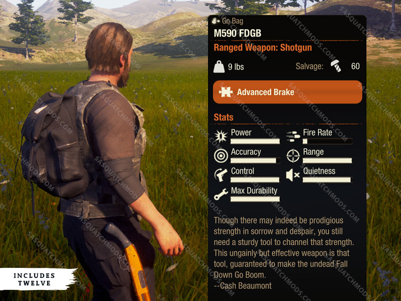 state of decay 2 m590 fdgb