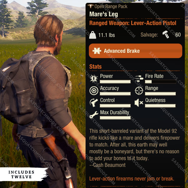 state of decay 2 mares leg