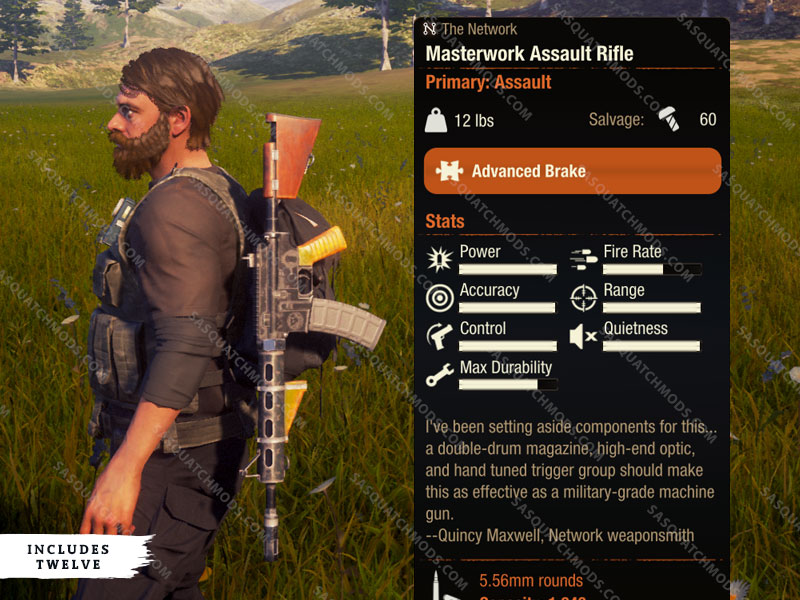 state of decay masterwork assault rifle