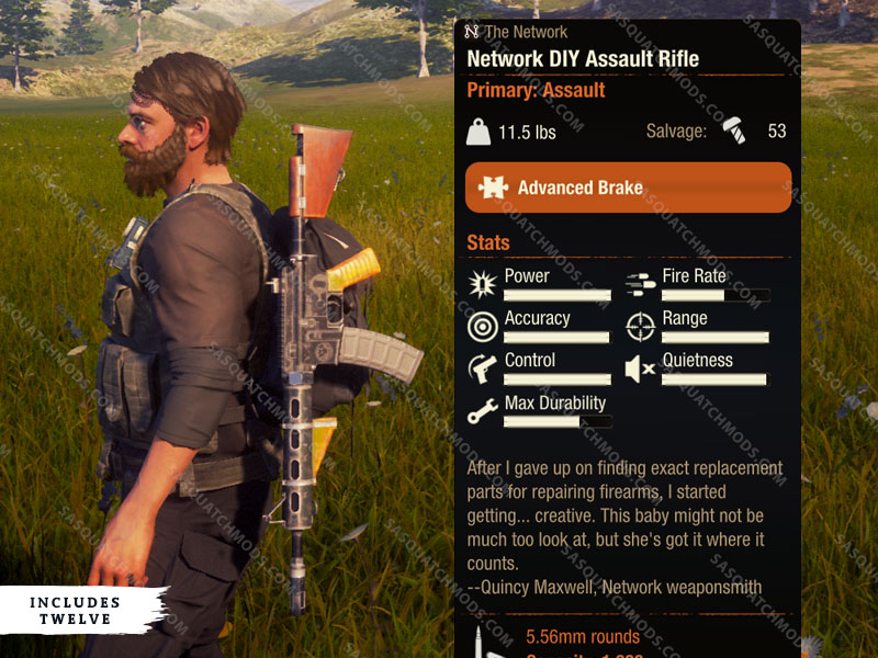 state of decay 2 network diy Assault Rifle