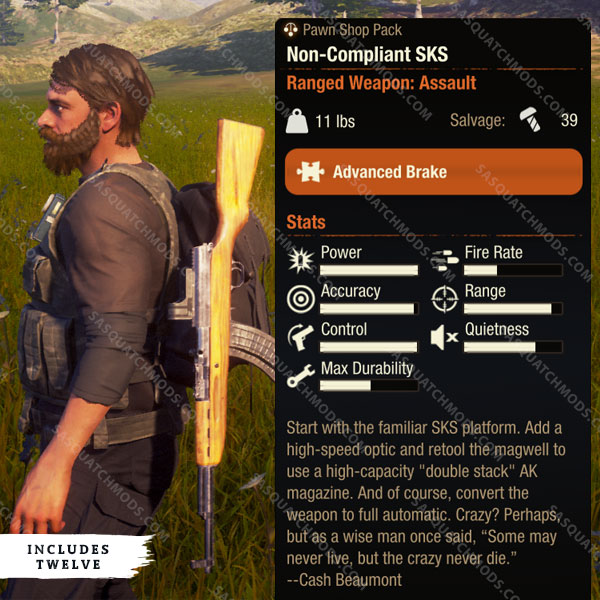 state of decay 2 non-compliant sks