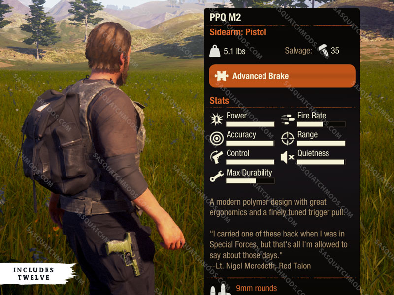 state of decay 2 PPQ M2