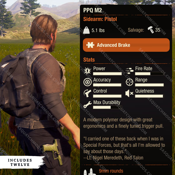 state of decay 2 PPQ M2