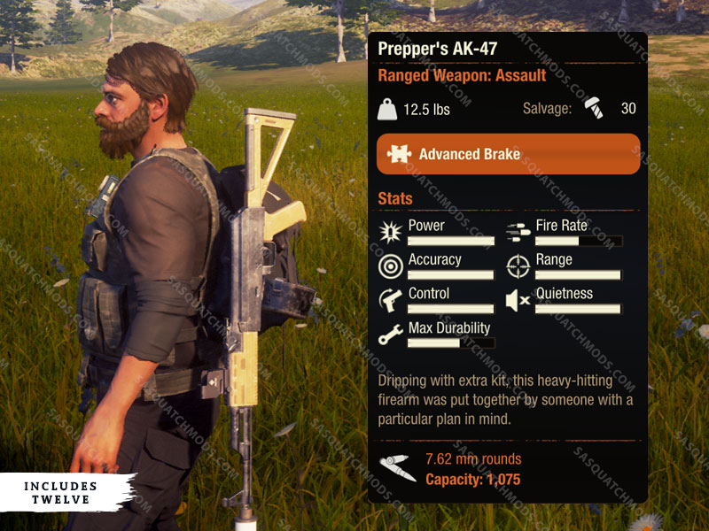 state of decay 2 Prepper's AK-47