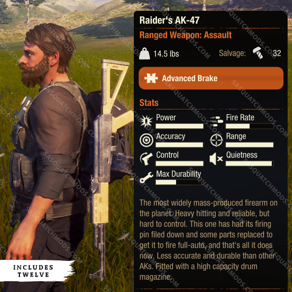 state of decay 2 raiders ak-47