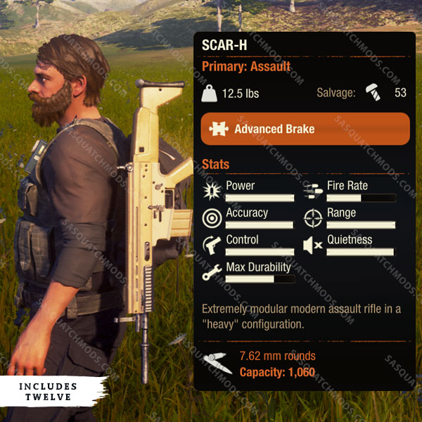 state of decay 2 scar-h
