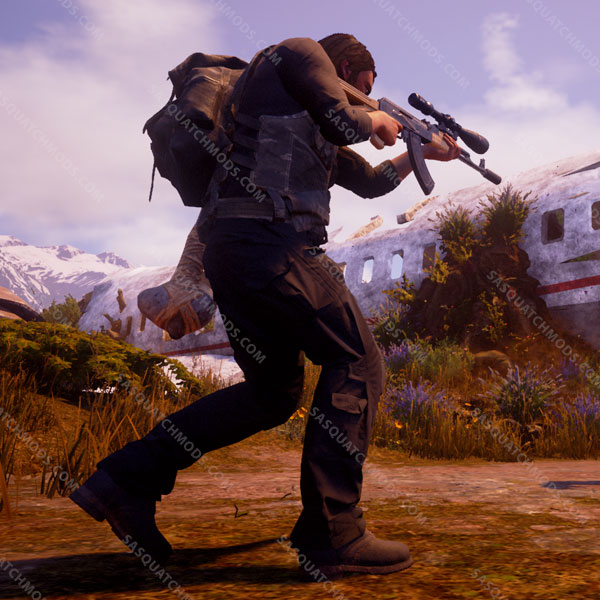 state of decay 2 custom scopes