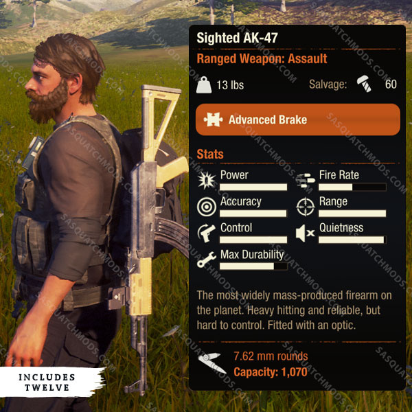 state of decay 2 sighted ak 47