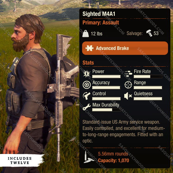 state of decay 2 sighted m4a1