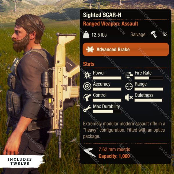 state of decay 2 sighted scar-h