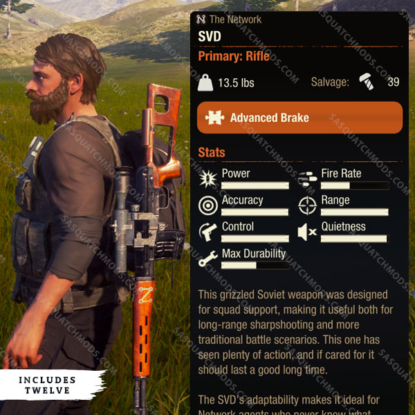 state of decay 2 SVD
