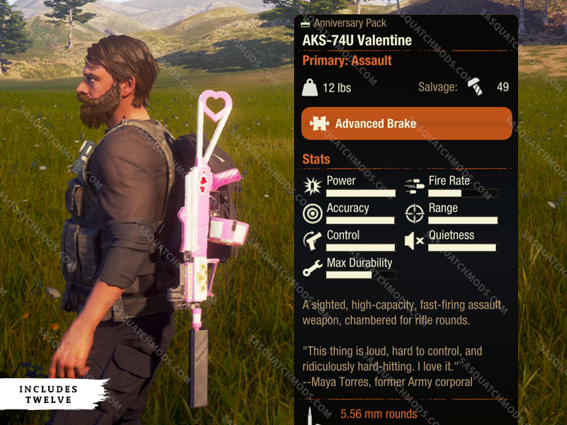 state of decay 2 AKS-74U Valentine