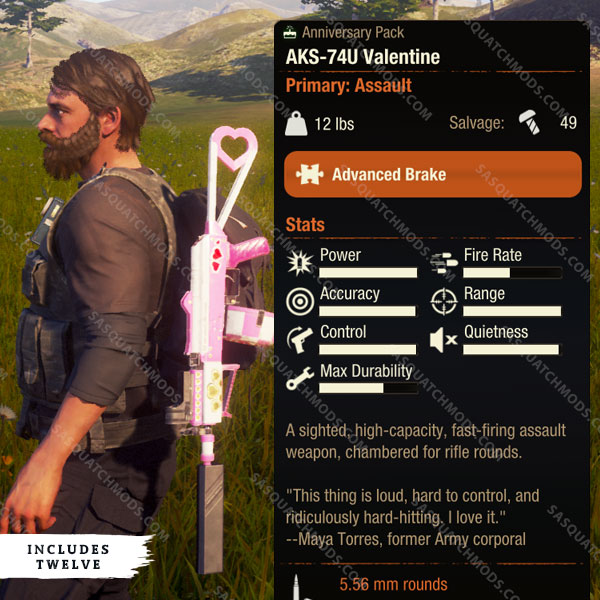 state of decay 2 aks-74u valentine