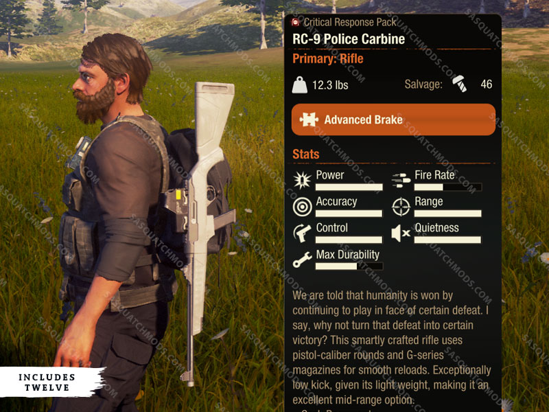 state of decay 2 rc-9 police carbine