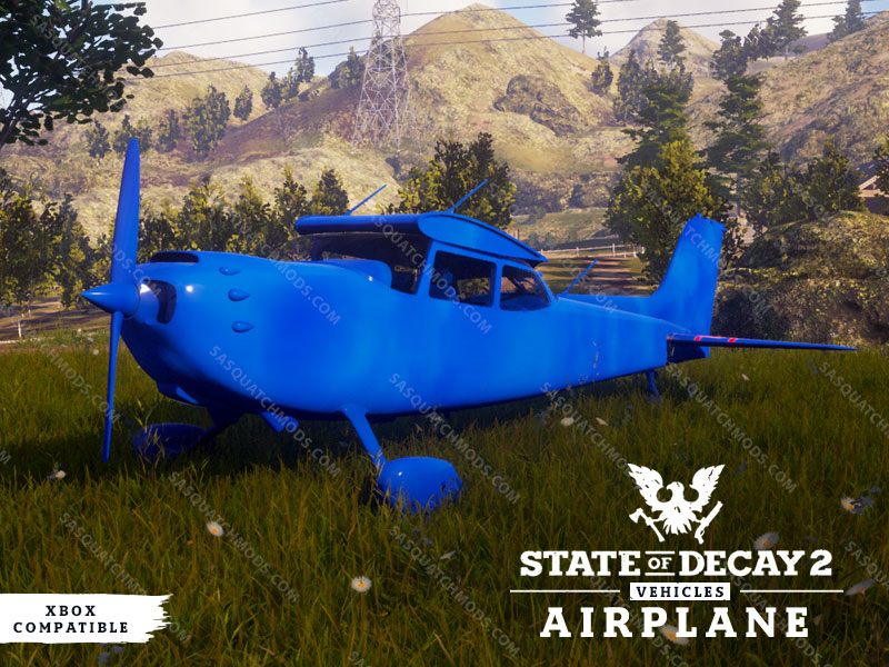 state of decay 2 airplane